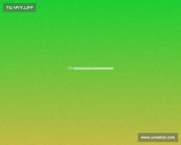 FIFA世界杯足球盛宴回顾与未来发展趋势全面解析深度解读全景
